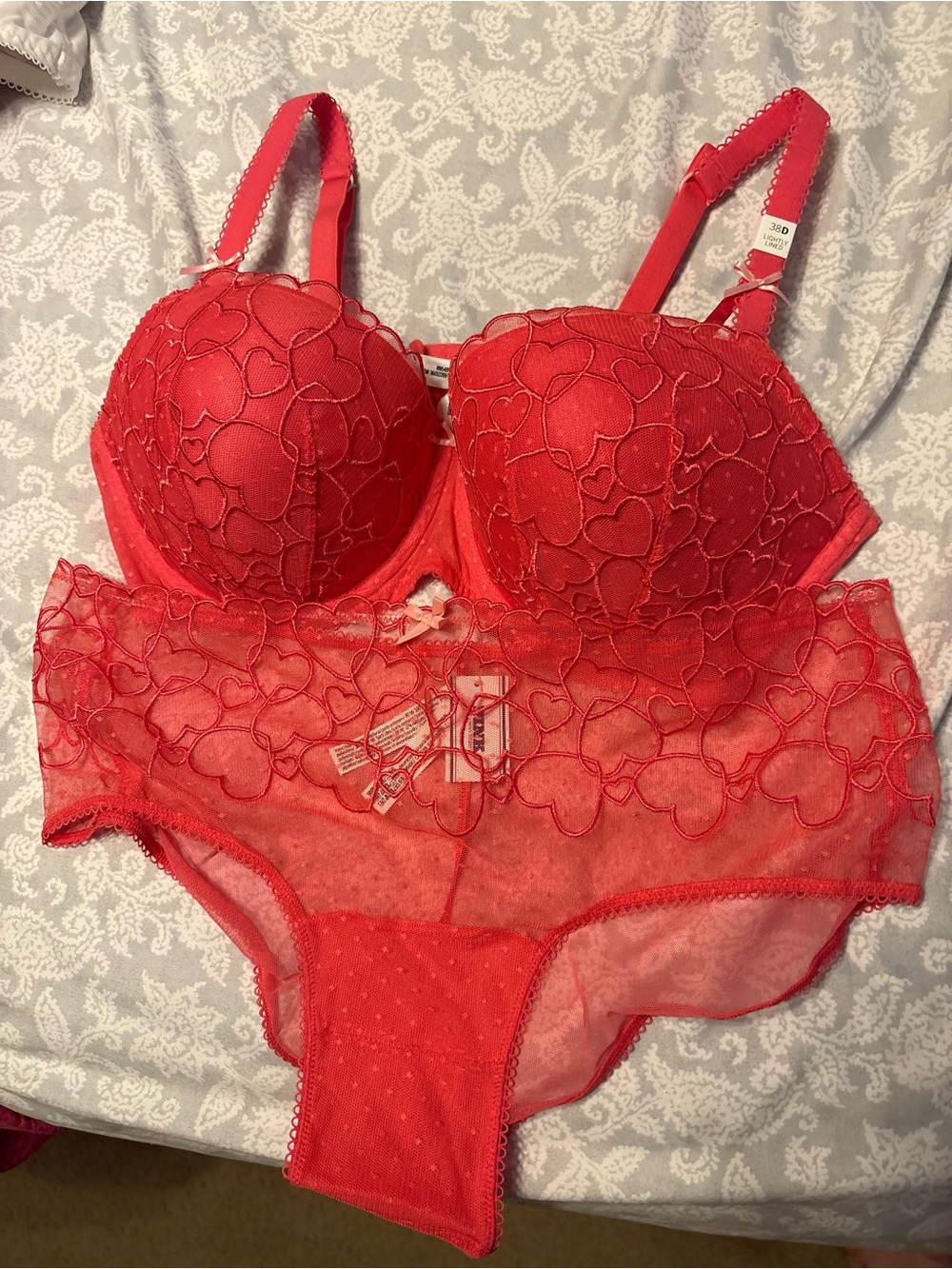 NWT Victoria's Secret 38D Red Heart-Embroidered Bra & Large matching panties